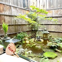 山玄茶 - 