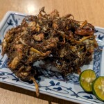 串BAR58 - 