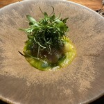 リブロ ヴェルデ - 