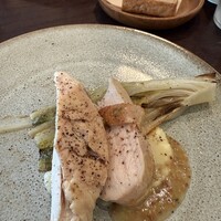 coci - 