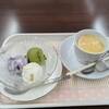 鹿都