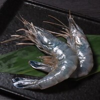 天使のエビ