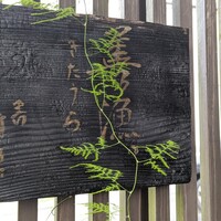 きたうら善漁。 - 