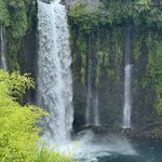 自家焙煎 ミフジヤコーヒー - 