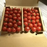 エヴァラスティング - 