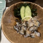 いわない温泉高島旅館 - ナマコ