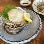 サカナテラス - 