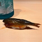 鮨 一幸 - 鮎 握り