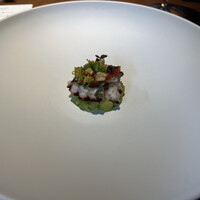 MOTORA  - 