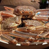 マキノンチ - 