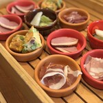 アカミヤコウシ - 