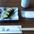 日本蕎麦 籠家 - 料理写真:今日は、胡瓜の浅漬け、サービスしてくれました