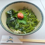 ベイサイド - 鳥羽産ワカメのネバネバめかぶ丼(税込1,200円)