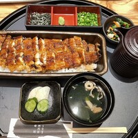 うなぎ四代目菊川 ミッドランドスクエア 名古屋本店 - 