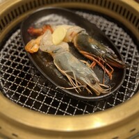 肉の匠 将泰庵  船橋本店 - 