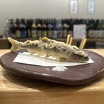 旬菜旬魚 たじま - 