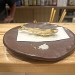 旬菜旬魚 たじま - 