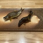 旬菜旬魚 たじま - 