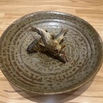 旬菜旬魚 たじま - 