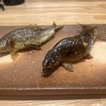 旬菜旬魚 たじま - 