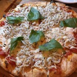 キャンティクアトロ・シェルクラブ - 