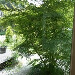 くるみカフェ - 店内から外を