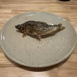 旬菜旬魚 たじま - 