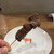 串焼ホルモン 壽 - 料理写真: