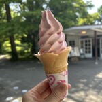 タリアセンコーヒーショップ - 