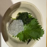 日本橋茅場町 寿司 鮮極 - 