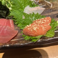 すし屋のさい藤 札幌本店 - 