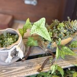 パティスリー アンフィーユ2016 - 