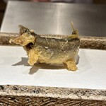 日本橋 蕎ノ字 - 天竜川　鮎