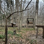 ザ バード ウォッチング カフェ - 席からの眺め