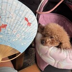 そば処 湧水 - 席にうちわがあった