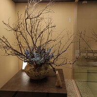 京都つゆしゃぶCHIRIRI 大阪梅田茶屋町店 - 