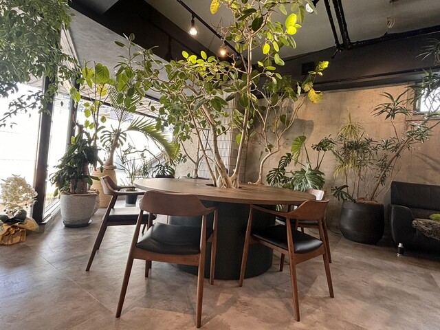 Green ocean cafe photo 5