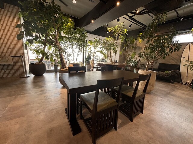 Green ocean cafe photo 4