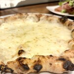 savoy クラシック - 