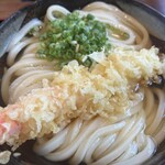 東かがわマルタツ手打ちうどん 伊座本店 - 