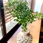 中華料理 口福 - 涼やか。