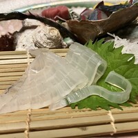 中洲鷹勝 本店 -  中洲鷹勝 本店 -