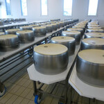 4 Madonne Caseificio dell'Emilia - 