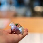 博多呑場 五右エ門 - 