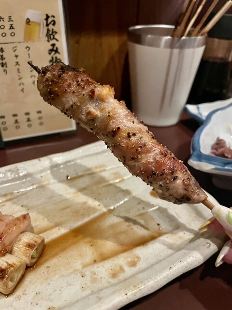 Tori Yoshi 2go Ten photo 5