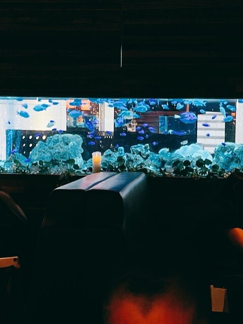 Aquarium Dining Shinjuku Lime photo 4