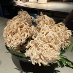 レスピラシオン - 