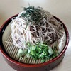 日吉そば - ざるそば(大盛)