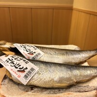 のぐち 継 -  のぐち 継 -