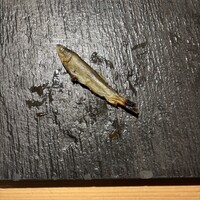 SUSHI TOKYO TEN、 新宿店 - 